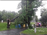 Hasiči v kraji od rána zasahují u desítek událostí spojených s bouřkami, foto: HZS OLK