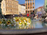 zdroj: Olomoucký Report