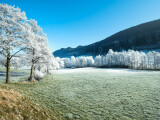 Ilustrační foto, zdroj: Pixabay