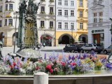 Foto: Olomoucký Report