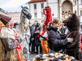 Zdroj: Město Olomouc