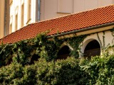 zdroj: Olomoucký Report