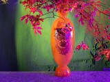 Zdroj: Flora Olomouc