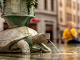 Zdroj: Olomoucký Report
