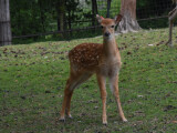 zdroj: Zoo Olomouc