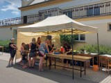 Zdroj: Olšany u Prostějova