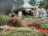 Ilustrační foto: Výstaviště Flora Olomouc