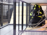 Foto: Report / Daniel Vachek