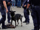 Foto: Policie ČR