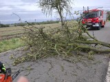 Zdroj: HZS Olomouckého kraje