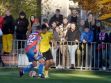 zdroj: Report