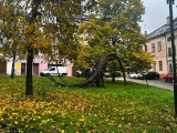Socha na Blažejském náměstí a ve Smetanových sadech, foto: Report, Máté Ándrás/Olomoučáci