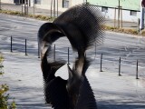 Foto: Report