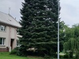 zdroj: Report, MMOL