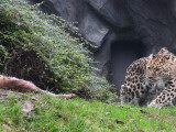 Zdroj: Zoo Olomouc