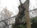 Zdroj: Zoo Olomouc