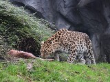 Zdroj: Zoo Olomouc