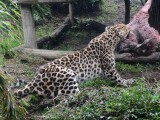 Zdroj: Zoo Olomouc