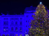 Strom v Litovli a rozsvícený strom v Olomouci na Horním náměstí, zdroj: město Litovel/Report.cz