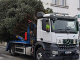 Strom v Litovli a rozsvícený strom v Olomouci na Horním náměstí, zdroj: město Litovel/Report.cz