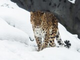 Zdroj: Zoo Olomouc