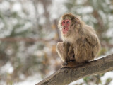 Zdroj: Zoo Olomouc