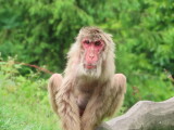 Zdroj: Zoo Olomouc