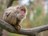 Zdroj: Zoo Olomouc