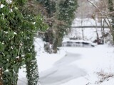 Foto: Report