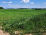 Foto: ŘSD