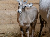 zdroj: Zoo Olomouc