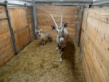 zdroj: Zoo Olomouc