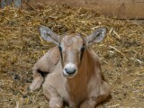 zdroj: Zoo Olomouc