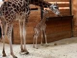 zdroj: Zoo Olomouc