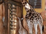 zdroj: Zoo Olomouc