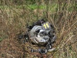 zdroj: PČR