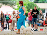 zdroj: Florinka Olomouc (Nikol Kopp)
