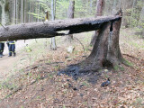 zdroj: PČR
