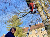 zdroj: Spolek STURM