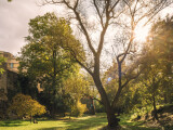 zdroj: Výstaviště Flora Olomouc