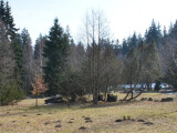 zdroj: Horské lázně Karlova Studánka