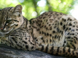 zdroj: Zoo Olomouc