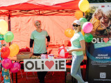 zdroj: OLIVIE