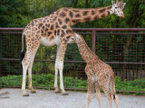 zdroj: Zoo Olomouc