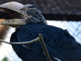 zdroj: ZOO Olomouc