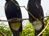 zdroj: ZOO Olomouc