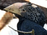 zdroj: ZOO Olomouc
