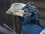 zdroj: ZOO Olomouc