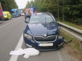 zdroj: PČR