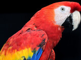 zdroj: Zoo Olomouc